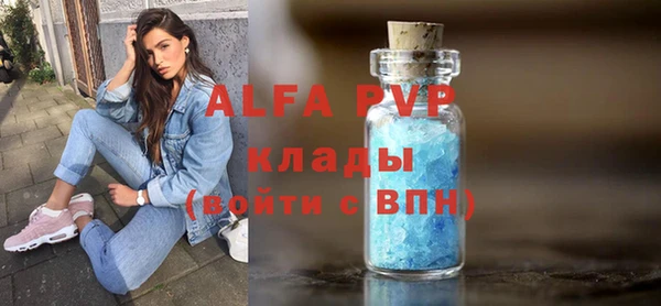 гидра Карпинск