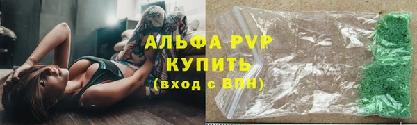гидра Карпинск