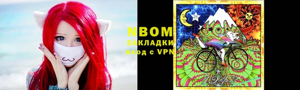 гидра Карпинск