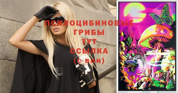 гидра Карпинск