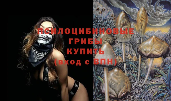 гидра Карпинск