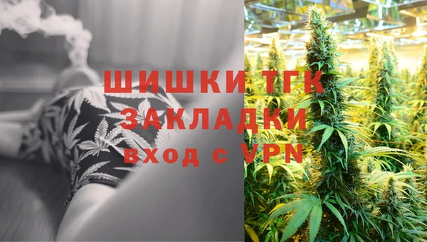 гидра Карпинск