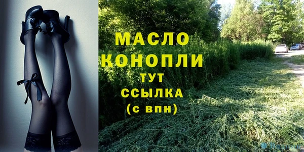гидра Карпинск