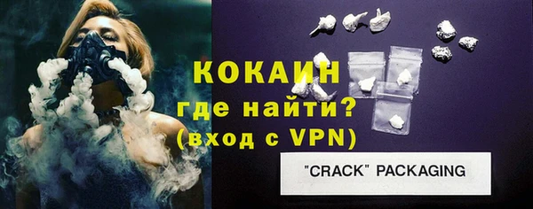 гидра Карпинск